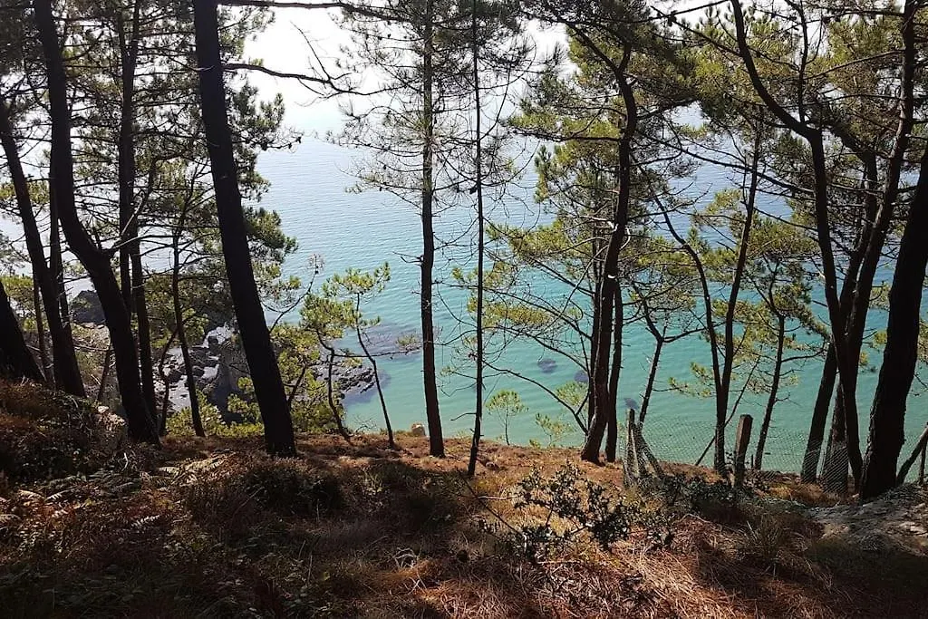 Ferienwohnung Chez Nany, Chaleureux Duplex Sur Le Port De Morgat Crozon